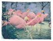 Flock of Flamingos